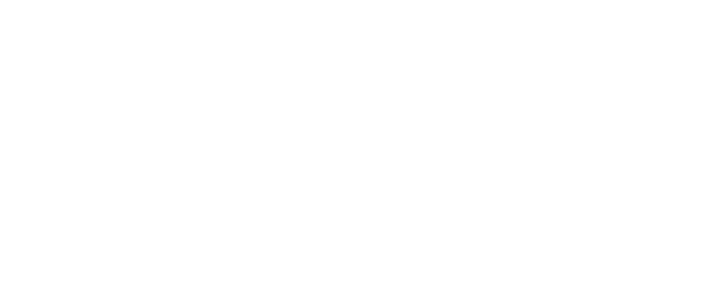 WALL PROFIT